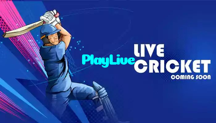 available types of PlayLive bet including pre-match live express and system bets